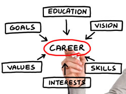 Career, education, vision, skills, interests, values, goals.